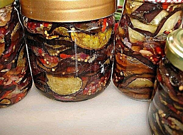 Sun-dried eggplant for the winter: the best recipes for cooking at home