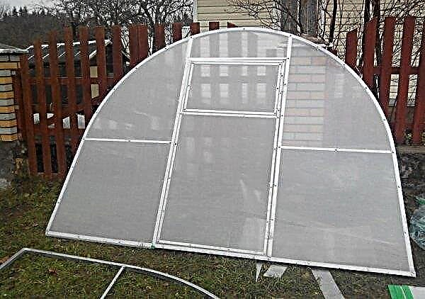 Belarusian polycarbonate greenhouses: features and varieties of designs