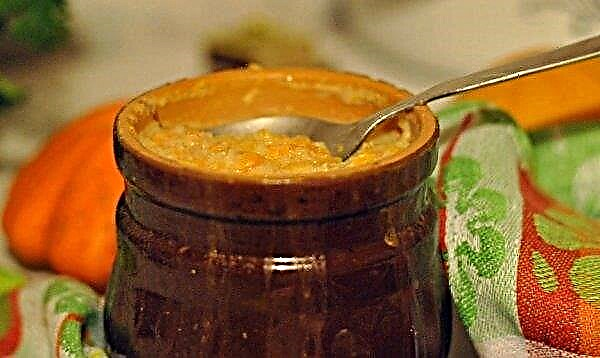 Miel de calabaza: una receta casera con una foto.