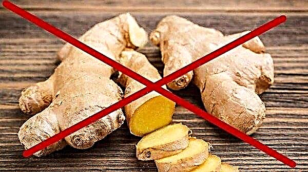 Ginger from papillomavirus infection and warts, how does the root, application, recipes of traditional medicine