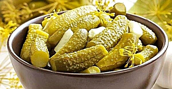 Varför är pickles tomma under saltningen inuti: de viktigaste orsakerna till detta