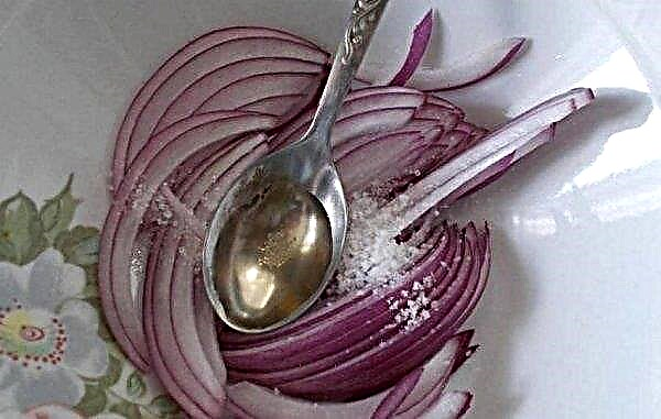 Onion with cough sugar: methods of preparation, rules for use and contraindications for use