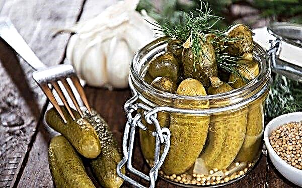 Sweet pickled cucumbers: the best recipes for crispy cucumbers, without sterilization, with vinegar