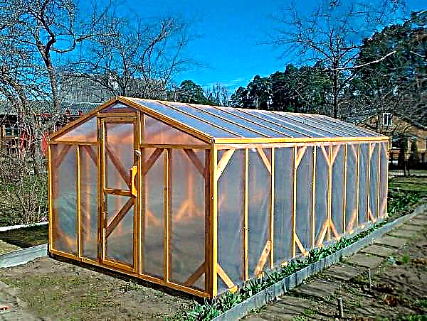 10 ways to make a greenhouse with your own hands