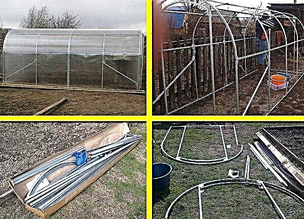 Greenhouse "Slava" with an opening polycarbonate roof: advantages and disadvantages, general characteristics, how to choose the finished one from the manufacturer