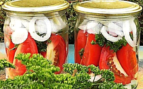 Gajos de tomate para el invierno: las mejores recetas