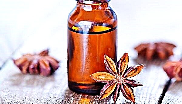 Anise oil: properties, features of application in cosmetology and traditional medicine