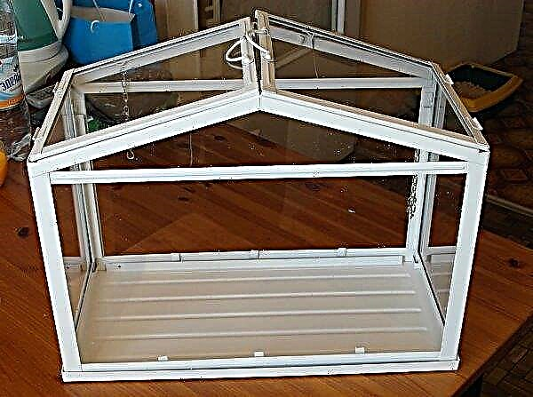 How to make a homemade greenhouse for seedlings in the apartment with your own hands: types, step-by-step production instructions, photos