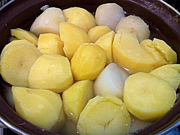 Waarom wordt de aardappel na het koken en frituren zwart, is het mogelijk om te eten