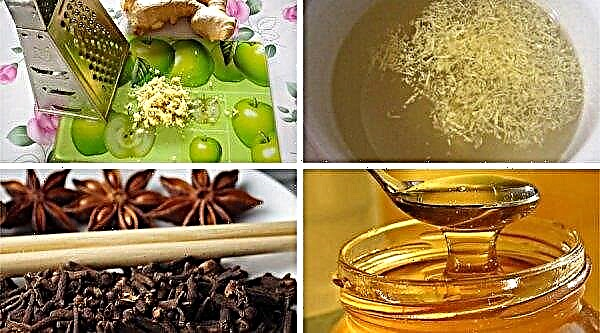 Pamukçuk ile zencefil: kandidiyaz ile zencefil olabilir, zencefil çayı tarifi, iyileştirici özellikler