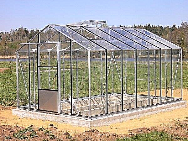 To make a greenhouse of glass: how to do it yourself and choose a ready-made one from the manufacturer, sizes, drawings and fixtures, photos, videos