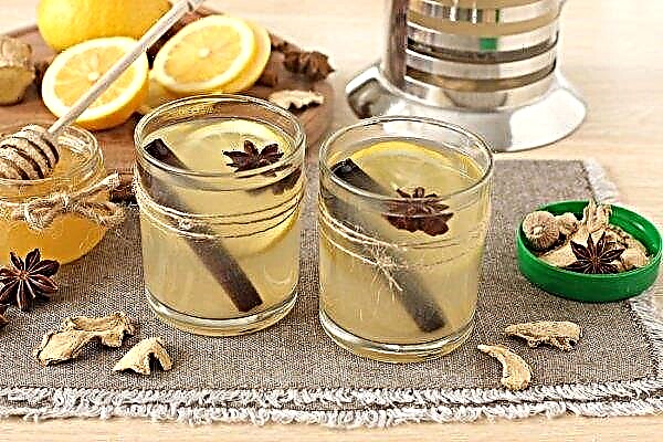 Fat-burning drink from ginger and lemon for weight loss: recipes, reviews, cooking methods