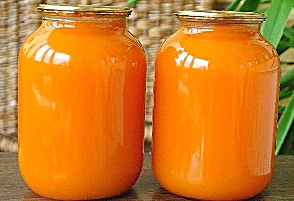 Сок од шаргарепе: како се пије, користи и штете, како се куха, спрема