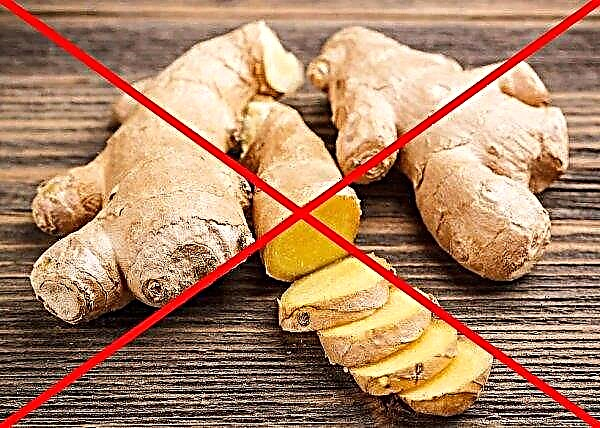 Is it possible to eat ginger with gallstone disease, with stones in the gall bladder, with stagnation of bile