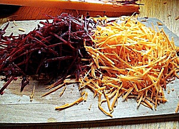Wie man Rüben für den Winter in einem Gefrierschrank einfriert: gerieben, gekocht, für Borschtsch, mit Karotten, Spitzen