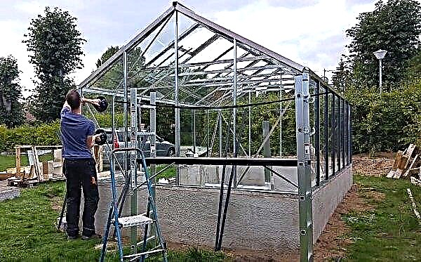 Construction of an aluminum greenhouse under glass: construction features, DIY construction