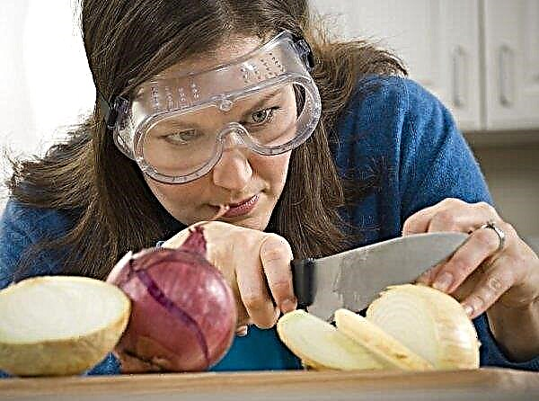 Why when you cut onions, your eyes watery: what chemical element causes tears, a scientific explanation