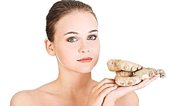 Ginger root for dandruff: healing properties, contraindications, traditional medicine recipes