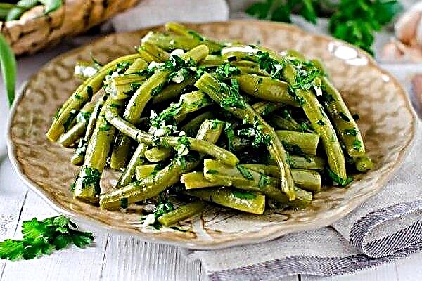How to freeze green beans: when and how to clean, what to cook, useful recommendations, photos