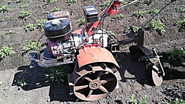 Hilling potatoes with a walk-behind tractor, cultivator, disk hiller, tractor