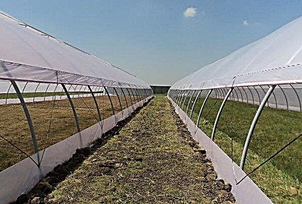 Farm greenhouses: how to choose the finished one from the manufacturer and do it yourself, features, drawings and projects, videos, photos