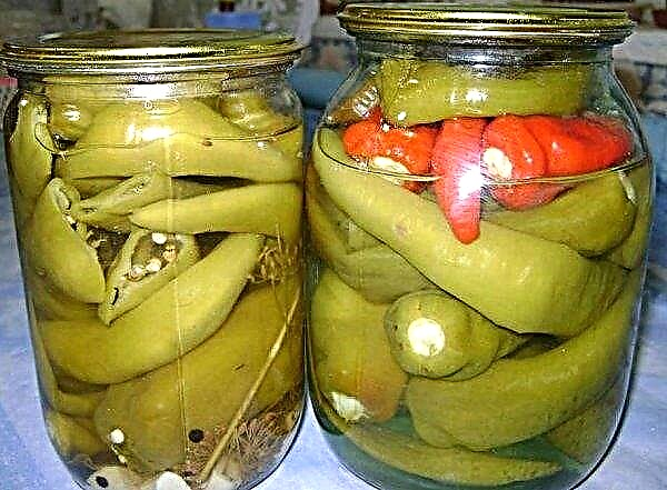 Pickled tsitsak pepper: simple and tasty recipes, video