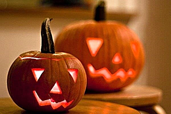 What is the name of a pumpkin for Halloween: why is a pumpkin a symbol of Halloween, history and description