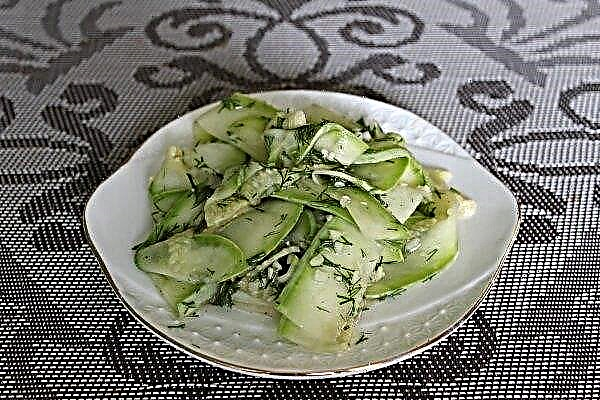 Zucchini ohne Sterilisation für den Winter mariniert: ein köstliches Rezept mit Fotos