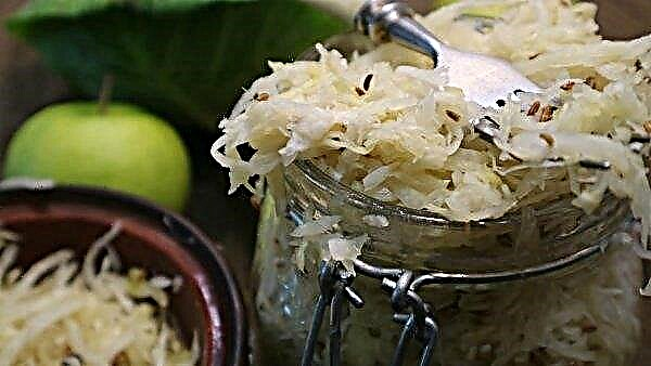 Why sauerkraut has a little brine: reasons and what to do, how to fix the problem