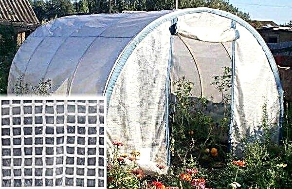 Reinforced film: varieties, advantages and disadvantages, rules of use for greenhouses