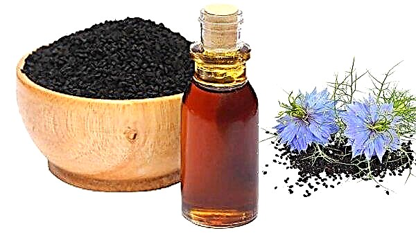Huile de cumin noir: avantages et inconvénients, comment prendre, contre-indications, caractéristiques du traitement à l'huile, photo