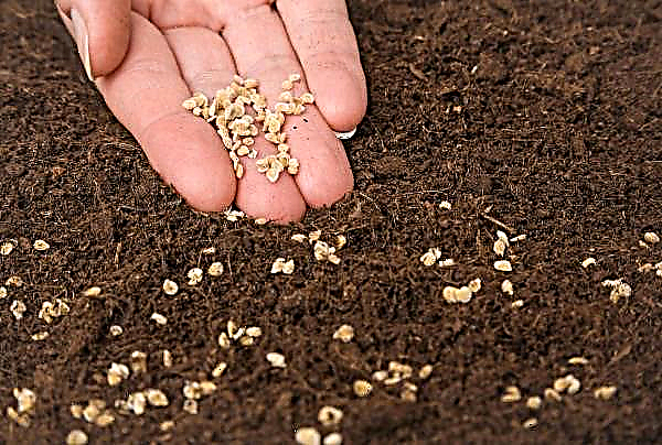 10 rules for buying seeds