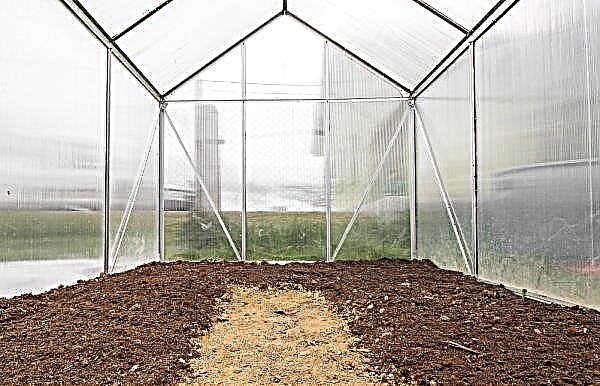 Sulfuric checker for a polycarbonate greenhouse: benefits and harms, types, how to use them correctly