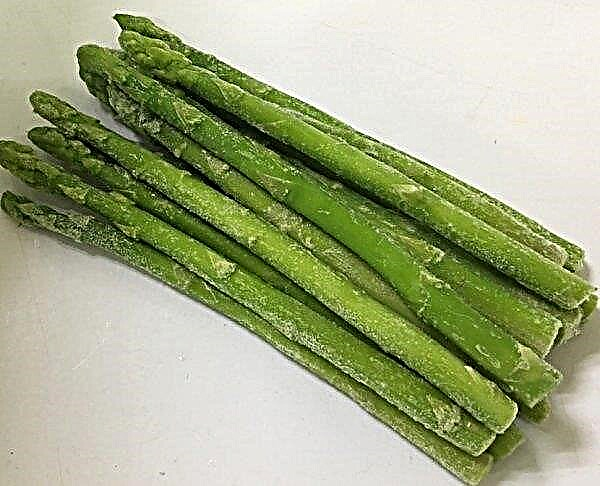 Asparagus beku: faedah, kombinasi dengan produk lain, cara membekukan asparagus hijau untuk musim sejuk