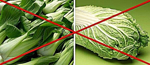 Peking and Chinese cabbage: difference, description, features of application, photo