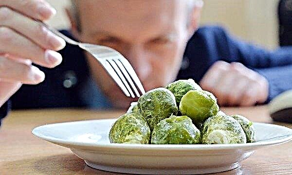How to freeze Brussels sprouts for the winter at home: features, timing and storage methods