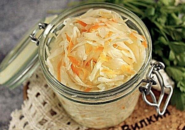 Why sauerkraut is mucus: causes, elimination of the problem