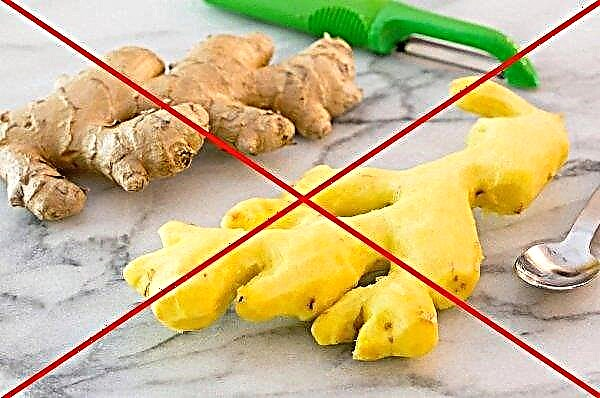 Ginger for hemorrhoids: is it possible to use ginger root for a disease or not