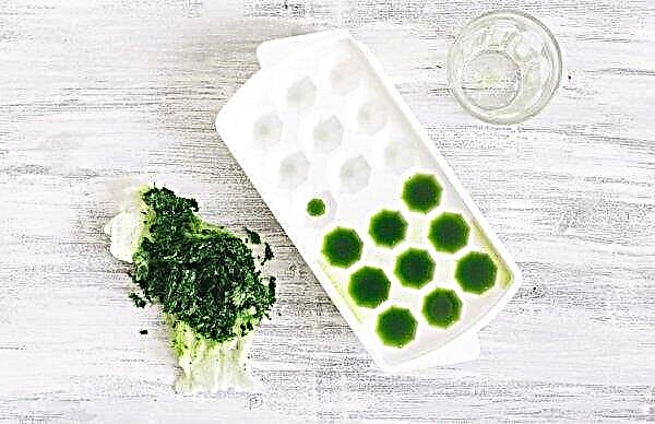 Face parsley ice: making and using parsley ice cubes