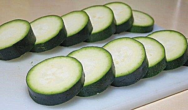 Zucchini zucchini: benefits and harms, varieties and photos, planting and growing, how much can be stored, photos