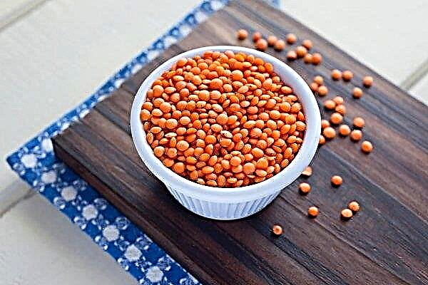 Lentils for pancreatitis: nutritional value, can I eat, benefits and harm