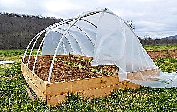 Do-it-yourself PVC greenhouse: design features, materials and tools for making a greenhouse
