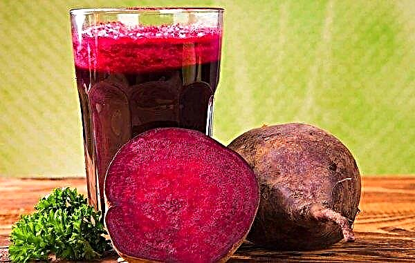 Beet juice: useful properties and contraindications, benefits and harms