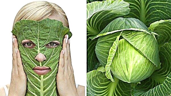 Máscara de col para la cara: nutrientes, beneficios para la piel, recetas y métodos de aplicación, foto