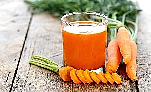 Zanahorias de la acidez estomacal: propiedades útiles y dañinas, ya sea que la composición química y el contenido calórico ayuden