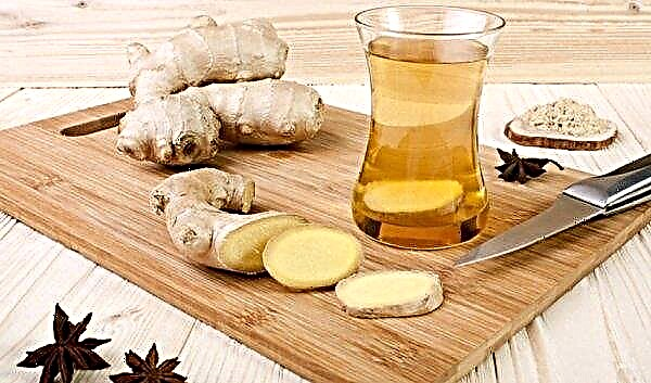 Ginger against cervical osteochondrosis: the benefits of the root in the treatment of folk remedies, recipes