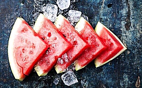 É possível congelar uma melancia durante o inverno: métodos básicos, dicas úteis