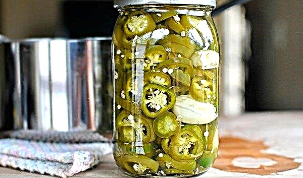Jalapeno pepper: photo and description - benefits and harms - growing and pickling recipe at home