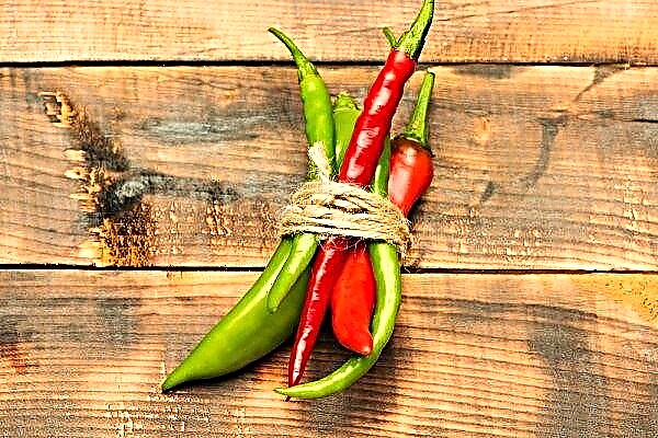 The benefits and harms of hot pepper for the health of men and women, norms and characteristics of use