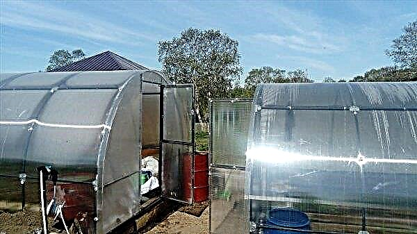 Thermal drive for a greenhouse: a characteristic of what you can make a self-ventilating system with your own hands